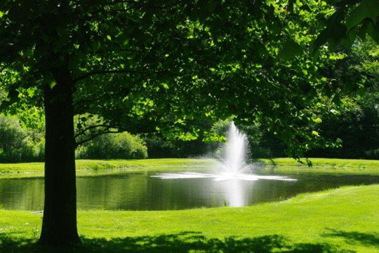 Creekside Grove Fountain